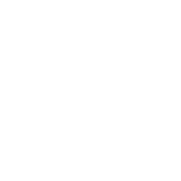 Mission Icon